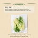 thumbnail image 3 of Skinfood Hoja de Mascarilla de Tomate Sous Vide 20 gr, 3 of 9