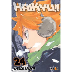 Manga Haikyu!! 24 Ivrea Argentina