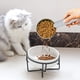 thumbnail image 5 of Cuchara Medidora Para Comida De Mascotas, Taza Medidora Para Comida De Gatos, Cuchara De Mango Largo Para Comida De Perros, Gatos Y Conejos, 5 of 5