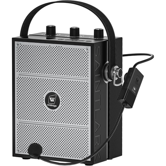 Amplificador de Voz WinBridge S98 40W Bluetooth Inalámbrico