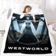 thumbnail image 5 of Westworld anti-pilling, suave, ligera, esponjosa y acogedora de lujo para hogar y cocina – Perfecta para niños y adultos,150X200cm, 5 of 6