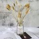 thumbnail image 5 of 90 piezas de ovatus secos naturales, colas de conejo secas de pampas para arreglos florales, decoración de bodas y hogar., 5 of 7
