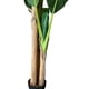 thumbnail image 3 of Planta Artificial Banano 190 cm. Premium., 3 of 3