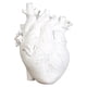 thumbnail image 1 of Jarrón De Corazón Anatómico Estatua De Resina Adorno De Maceta Blanco 13x9x17CM, 1 of 3