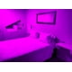 thumbnail image 5 of Ampolleta Led Colores Fiesta Luz Color Lampara Violeta violeta, 5 of 5