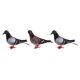 thumbnail image 3 of 3x falsas plumas artificiales de espuma palomas aves boda decoración adornos lugar, 3 of 5