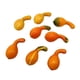 thumbnail image 5 of Calabazas Artificiales Cosecha Calabaza Halloween Decoración Estacional 8 Piezas, 5 of 5