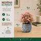 thumbnail image 5 of Set 3 Plantas Artificiales Flores Velo de Novia Decoracion rosa, 5 of 6