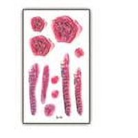 Nonstop - Tatuaje Temporal Halloween Cosplay Disfraz - Herida - 3A