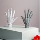 thumbnail image 4 of Modelo de mano Meme Da 20 cm gris con articulaciones móviles, 4 of 7