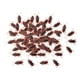 thumbnail image 1 of 100x Cucarachas Falsas Juguetes Cucarachas Realistas Para Halloween Holiday Home S, 1 of 5