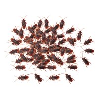 Bothyi - 100X Cucarachas Falsas Juguetes Cucarachas Realistas Para Halloween Holiday Home S