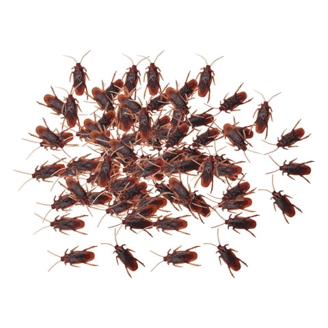 Bothyi - 100X Cucarachas Falsas Juguetes Cucarachas Realistas Para Halloween Holiday Home S