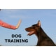 thumbnail image 3 of Air Horn Safety-Sport Dog Horn XL, 3 of 3