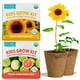thumbnail image 1 of Kit de cultivo científico Back to the Roots Kids, 2 unidades, sandía o girasol, 1 of 3