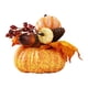 thumbnail image 4 of Accesorios Para Fotos De Flores De Calabaza Artificiales Oficina De Otoño Halloween Acción De Gracias Estilo B, 4 of 5