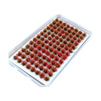 Magideal - Modelo De Mechones De Hierba En Miniatura De Racimo De Flores Artificiales Diy Para Modelo Arquitectónico, Modelo De Construcción, Paisaje, Decoración Rojo