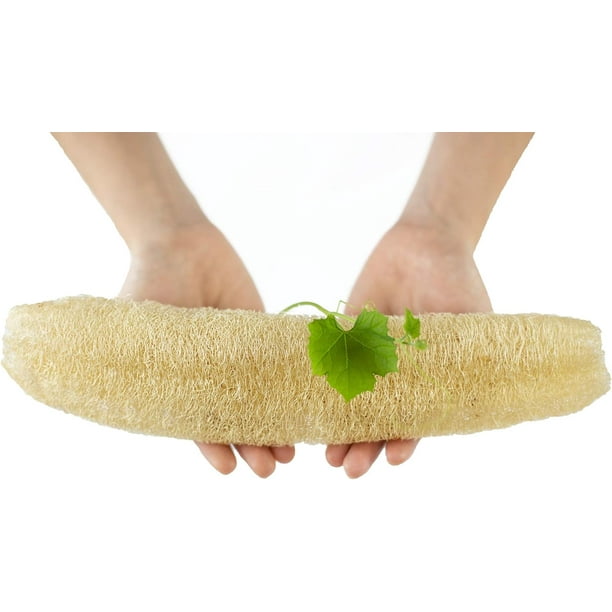 Estropajo vegetal grande de lufa natural para cocina, baño, exfoliante corporal, ducha, lufa, celulosa, biodegradable, compostable, cero residuos.