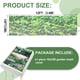 thumbnail image 4 of Malla para jardín Rohuis de malla ultrafina 3 m x 10 m para camas elevadas, 4 of 7