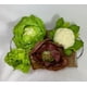 thumbnail image 2 of Lechuga Fransesa 16cm Artificial Con Detalles Realistas, 2 of 2