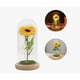 thumbnail image 1 of Girasol Flor Eterna, 1 of 3