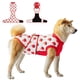 thumbnail image 1 of Traje De Recuperación Postoperatoria Para Perros Estampado De Fresa, 1 of 6