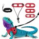 thumbnail image 1 of Arnés de Correa para Lagarto Barbudo Uxcell, Arnés de Dinosaurio para Lagarto Ajustable con Cuerda de Tracción de Cuero Suave (S/M/L, 3 Piezas, Rojo), para Lagarto Barbudo Reptil Ardilla Rata, 1 of 7