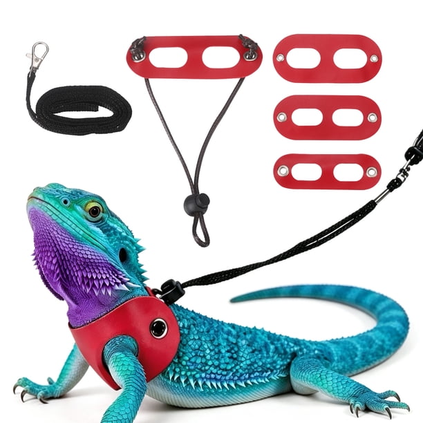 Arnés de Correa para Lagarto Barbudo Uxcell, Arnés de Dinosaurio para Lagarto Ajustable con Cuerda de Tracción de Cuero Suave (S/M/L, 3 Piezas, Rojo), para Lagarto Barbudo Reptil Ardilla Rata