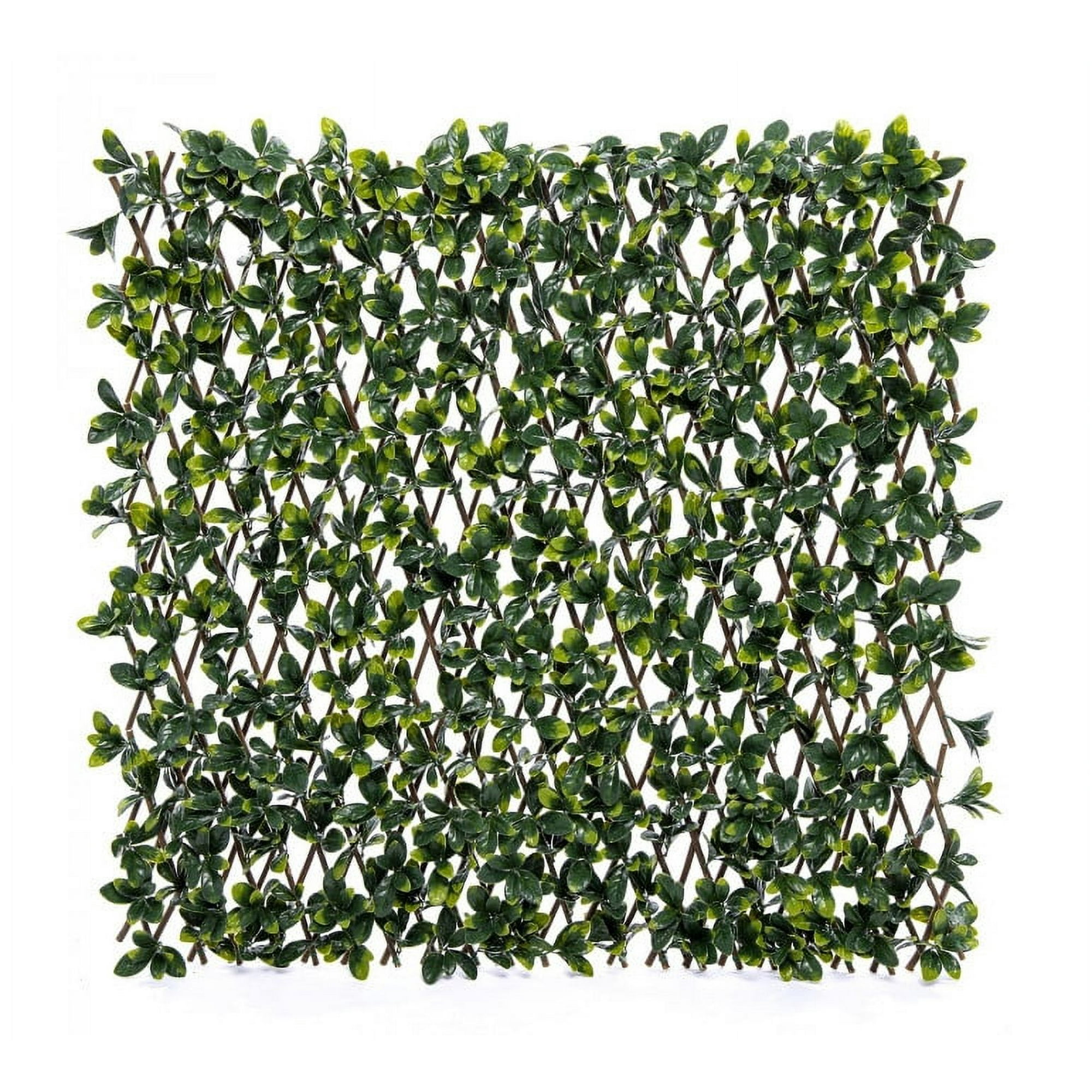 Signet - Valla Artificial Pared Laurel