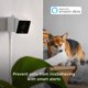thumbnail image 4 of Cámara de Seguridad Petcube Cam 1080p HD Visión Nocturna Paquete de 2, 4 of 6