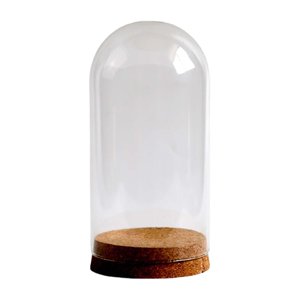 Bothyi - Cubierta De Cristal De Flores Preservadas, Cubierta De Cúpula De Cristal Para Bodas, Sala De Estudio, Oficina, 9Cm X 20Cm