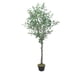 thumbnail image 1 of Planta Artificial Tipo Olivo. Altura: 140Cm verde, 1 of 3