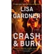 thumbnail image 1 of Libro Crash & Burn: Novela de Tessa Leoni, 1 of 1