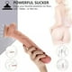 thumbnail image 5 of Consolador De Silicona Flexible Con Ventosa Pene Real, 5 of 5