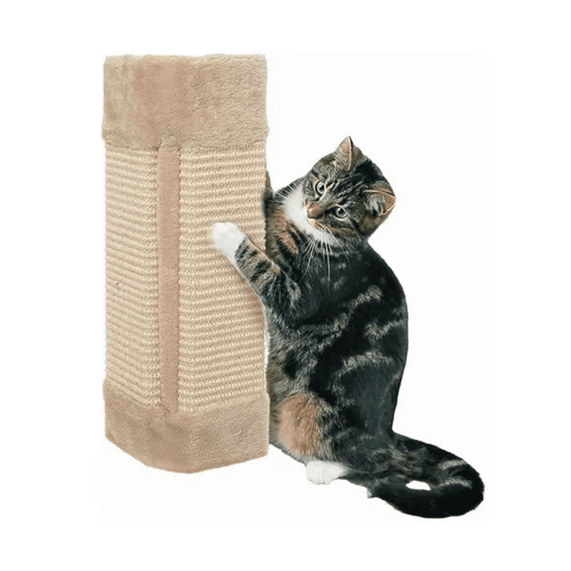 Genérico - Rascadores Gatos Rascador Esquinero Sillon Gato Café