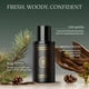 thumbnail image 2 of Body Mist Hardworking Gentlemen Pinewood, 100 ml, para hombre, 2 of 7