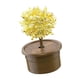 thumbnail image 3 of Novedad Crystal Trees Growing Kit Aprendizaje De Juguetes Educativos Para Niños Amarillo, 3 of 5