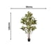 thumbnail image 3 of Planta Decorativa Arbol Croton 120Cm, 3 of 3