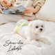 thumbnail image 2 of Banda para perro WICKEDPUP talla 0 (27‑36 cm) + 50 forros, 2 of 6