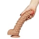 thumbnail image 4 of Dildo Realista, Con Testículos Y Puntos De Estimulación 24cm, 4 of 6
