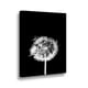 thumbnail image 1 of Canvas Flor De Leon N 70x50cms, 1 of 1