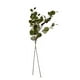 thumbnail image 1 of Flor Artificial Eucalipto Artificial Flor Decorativas 80cm, 1 of 1