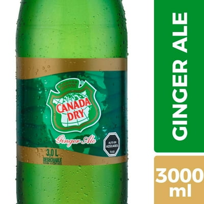 Bebida Ginger Ale Original Botella 3 L Canada Dry