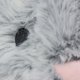 thumbnail image 5 of Peluche Snuggle Buddies Bella Bunny Gris, 5 of 8