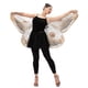 thumbnail image 5 of Alas de Polilla para Disfraz Seasons 170 cm x 74 cm Talla Única, 5 of 7