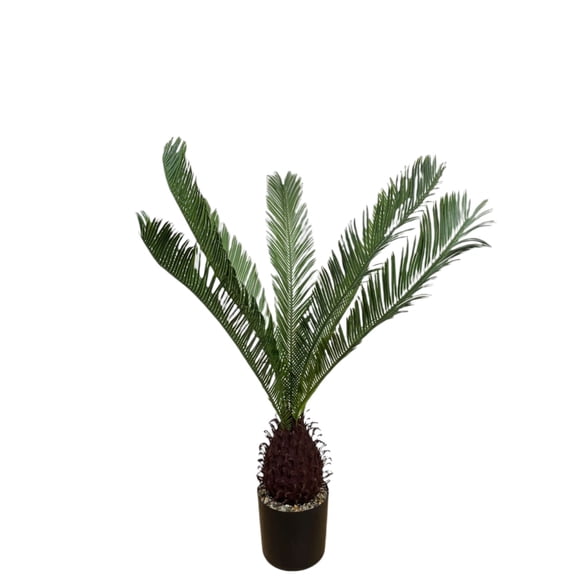 Planta Decorativa Palmera Cyca 110 cm