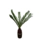 thumbnail image 1 of Planta Decorativa Palmera Cyca 110 cm, 1 of 2