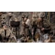 thumbnail image 5 of Película Cómo entrenar a tu dragón (2025) Steelbook de edición limitada, 5 of 7