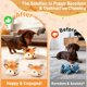 thumbnail image 3 of Juguete interactivo de zorro para cachorro VYsTN recargable y resistente a mordidas, 3 of 8