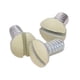 thumbnail image 1 of Tornillo de pared Leviton 86400-PRT de 6-32 roscas, paquete de 100, 1 of 2